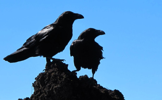 1754869 (a): :2560x1584